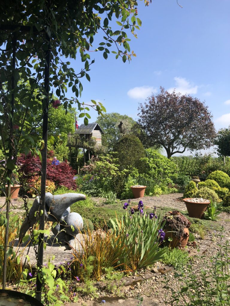 Putley Open Gardens showing Sheepcote garden with Irises in the foreground