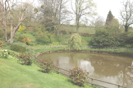 Putley Open Gardens showing the lake at the Brainge